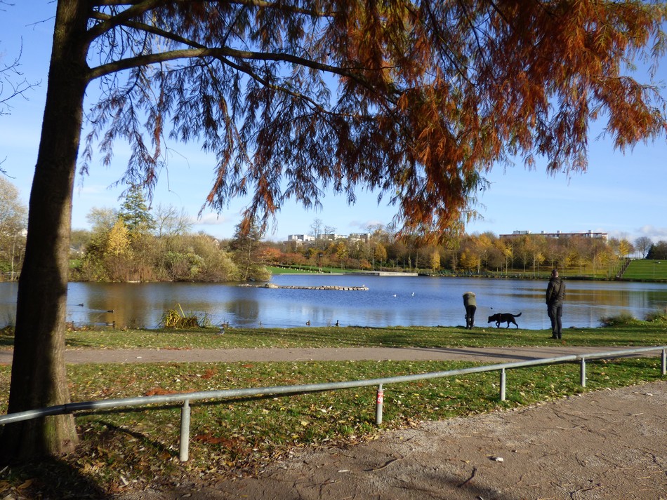 Balade au parc avant la tempête.