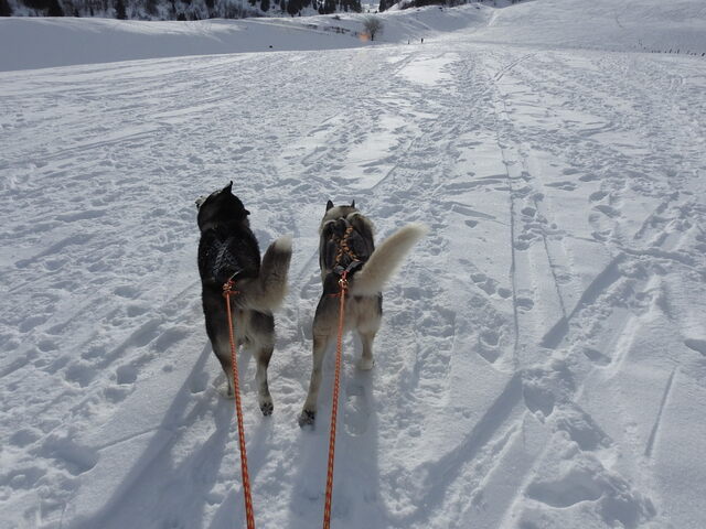 Le col des Aravis