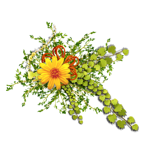 Resultado de imagen de hermosos separadores