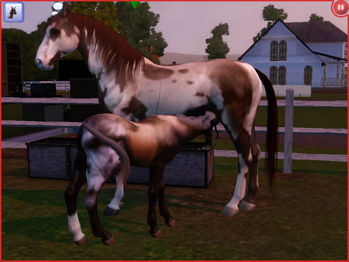  Sims 3 ; Breeding Horse (Gallery)