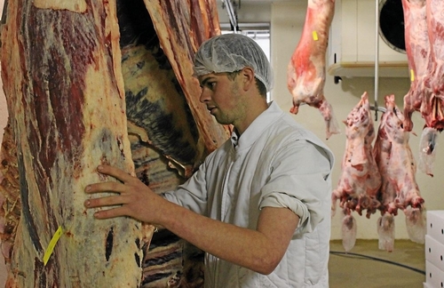 Pont-Croix/ Des élus douarnenistes visitent l'abattoir (OF 27/05/2016)