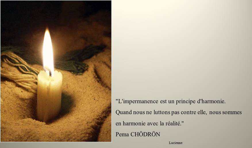 L Impermanence Est Un Principe D Harmonie Akia