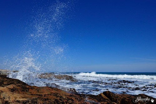 Atlantic waves, Namaqua NP