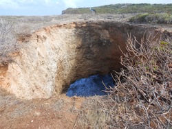 Balade " la trace des falaises" Anse Bertrand 