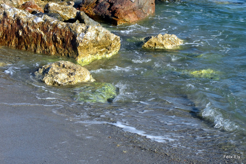 La plage : les rochers