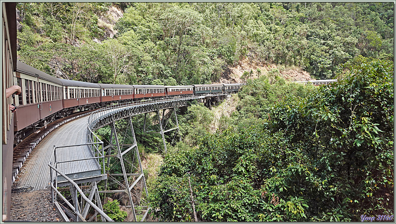 Quelques vues depuis le train qui nous conduit à Kuranda, avec, au bout, la découverte des koalas ! - Australie