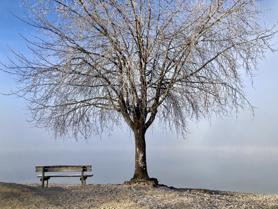 Grande série sublime (si, si) du givre et de la brume au lac de Remoray, 4
