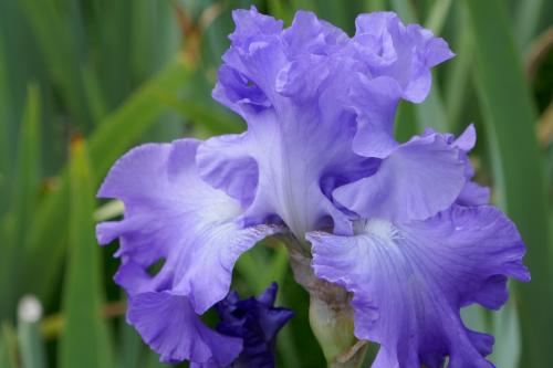 Le cartoscope du dimanche 20 août 2023