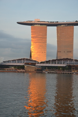 Orchidées de Singapour