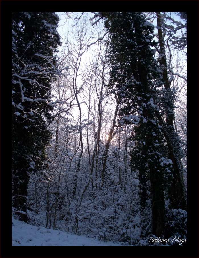 Neige sous le soleil d'Alsace...