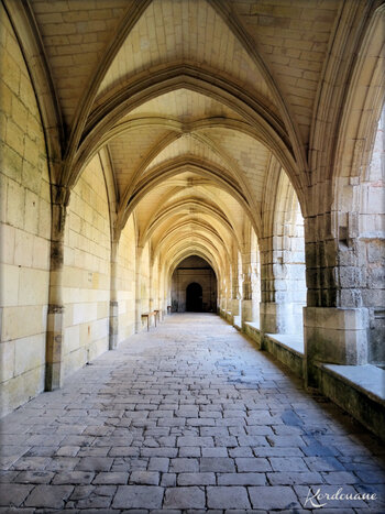 Cathédrale Notre Dame de l'Assomption- le Cloître