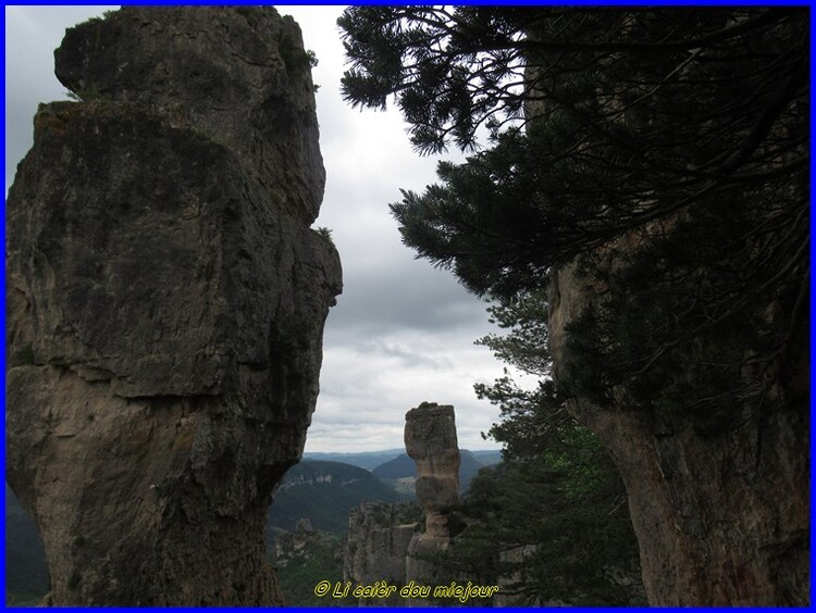 Causse Méjean, les corniches de la Jonte