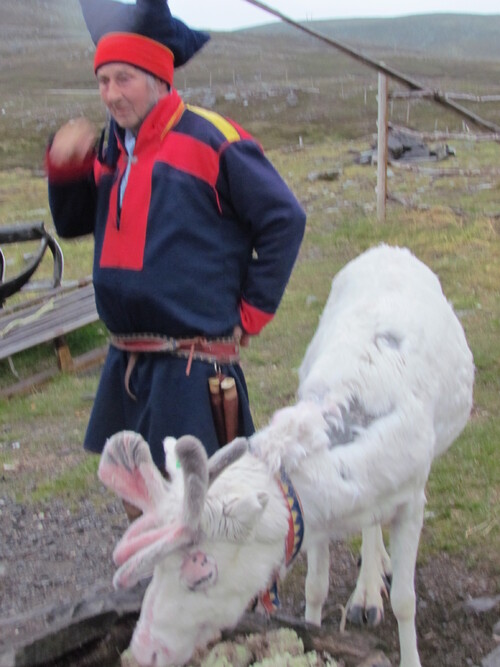 Voyage en haut du monde: (Honningsvag 10).