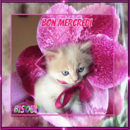 Bon Mercredi Sticker - Bon Mercredi - Discover & Share GIFs
