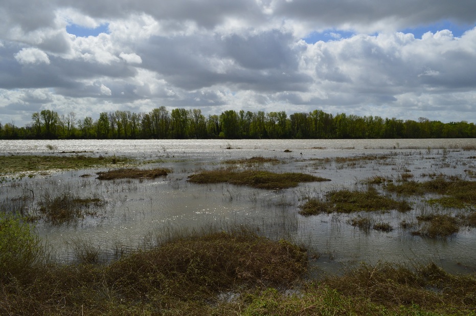 Rando Beaugency/Lestiou