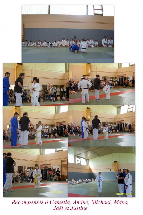 Récvompenses 2010 - Fête du judo