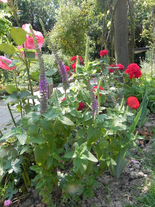 Le jardin en vacances 