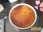 Gâteau aux abricots, citron & polenta