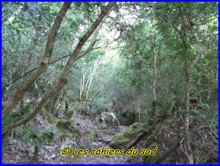 Gorges du Tarn, les échelles du rocher Cinglegros