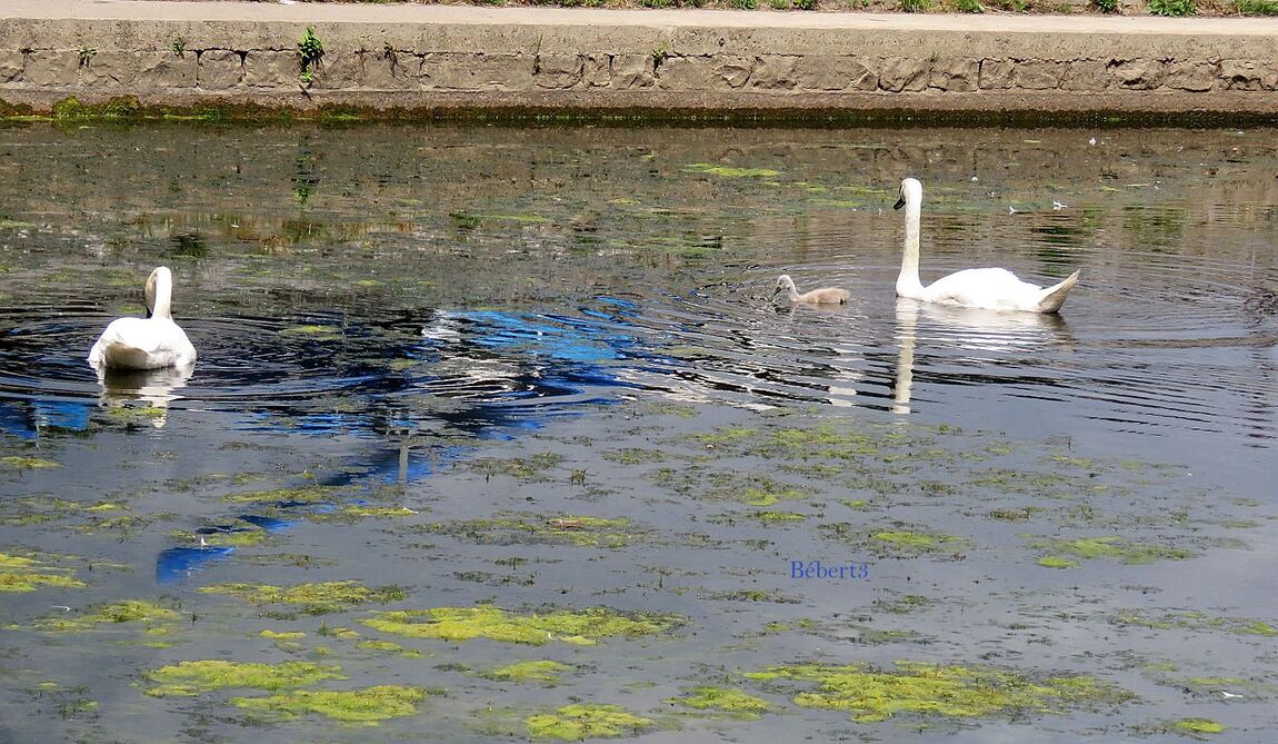 mes reflets recherchés