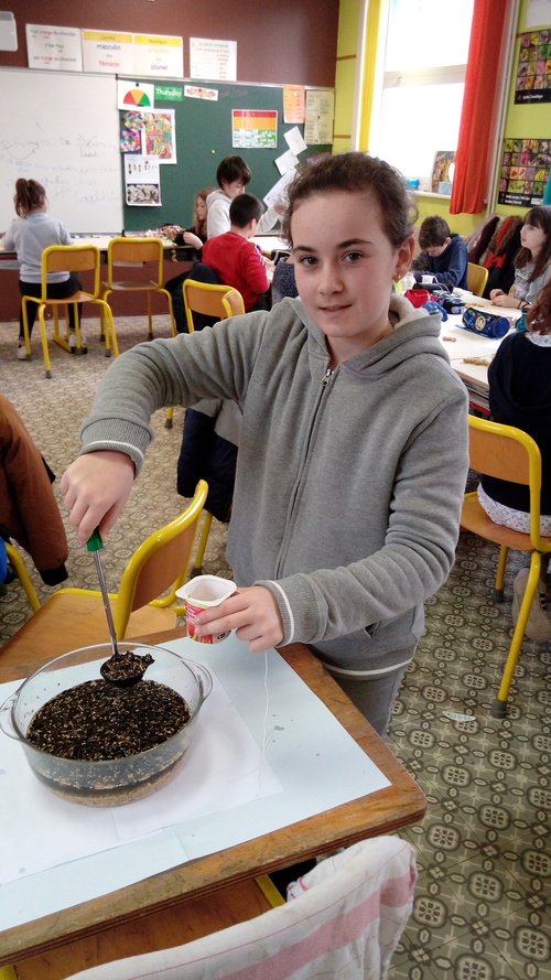 Ateliers boules de graisse et colliers de cacahuètes