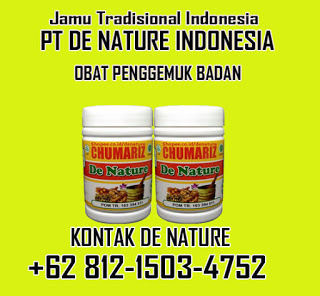 Kumpulan Info Obat Herbal Penggemuk Dan Penambah Berat Paling Ampuh Dan Aman