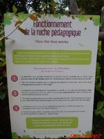 Dordogne : Limeuil sur les terres de Cro-magnon 2/2