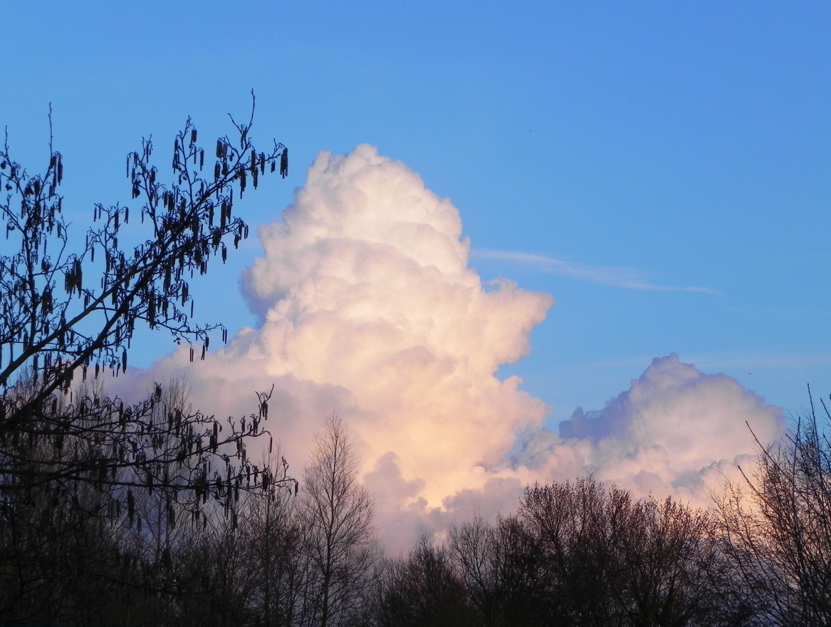 mes instants nuages ...