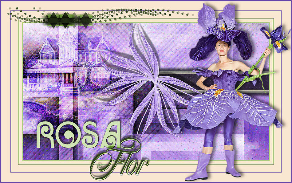 Versions Rosa Flor
