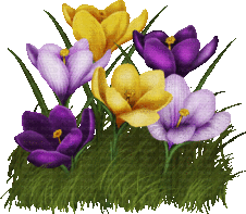 spring printemps flower fleur blossom fleurs gif anime animated tube deco blume blüte purple grass gras herbe