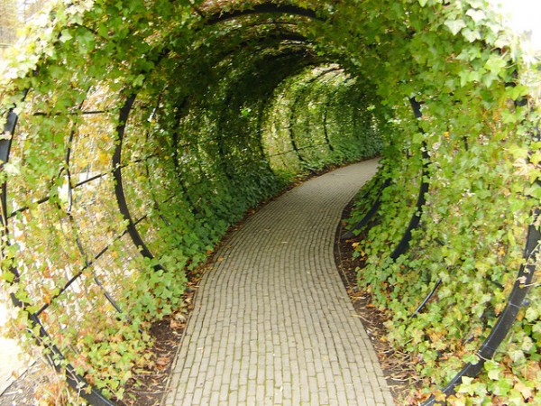 Tunnel Alnwick Garden