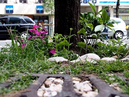 Au pied des arbres