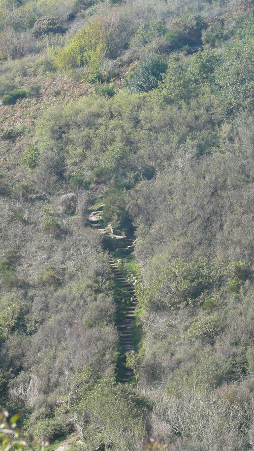 falaises de Carolles