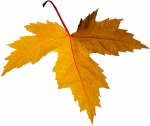 Tubes feuilles