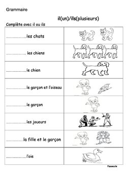 grammaire CP