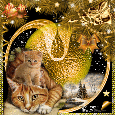 Mère & fille/ Winter Cat Gold !♥! 