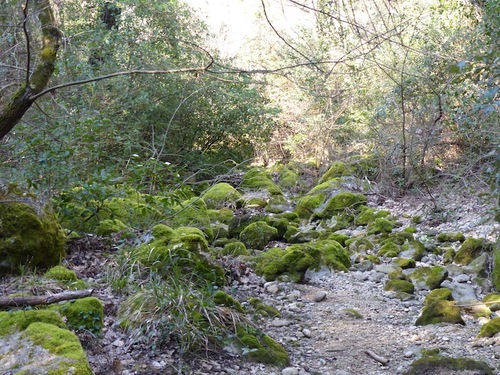 Bergerie de Peyruis - Le Défens