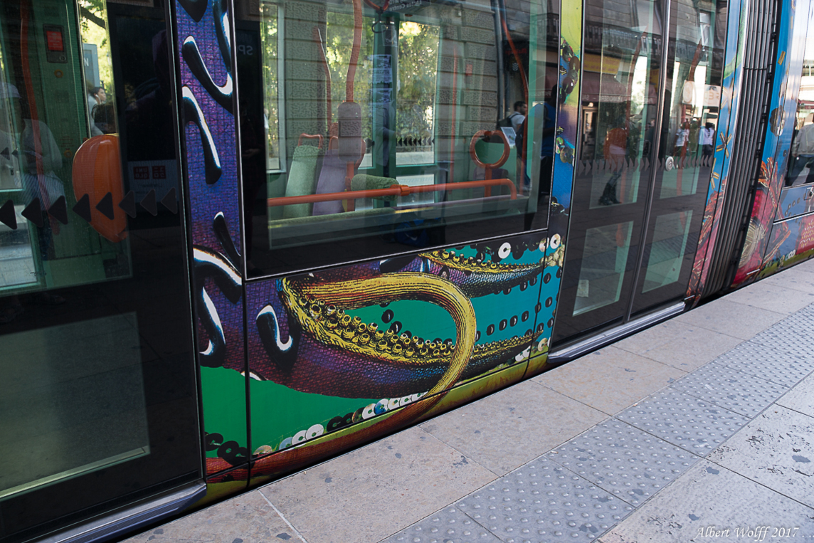 Occitanie - Les couleurs du tram  