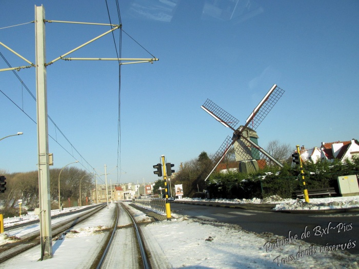 La Côte Belge sous la neige - 22.01.2013.