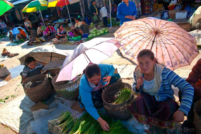 Marché de Luang Namtha : Les ombrelles Marché de Luang Namtha : Les ombrelles