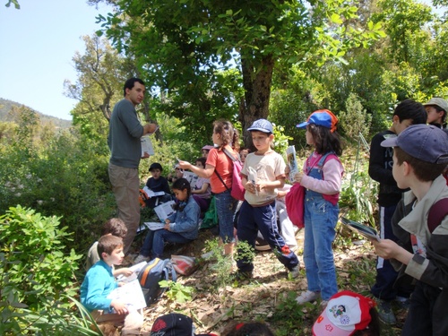 Sorties pédagogiques