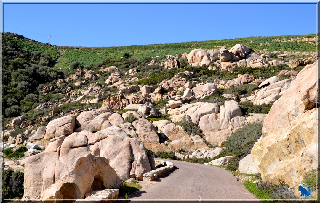 Sur la route de Galéria Calvi Corse