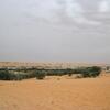 Mauritanie Route de l'Espoir le désert est vert !