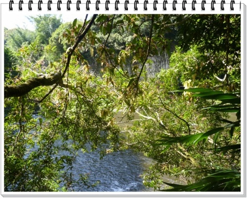 Bassin la Paix (2/3) -