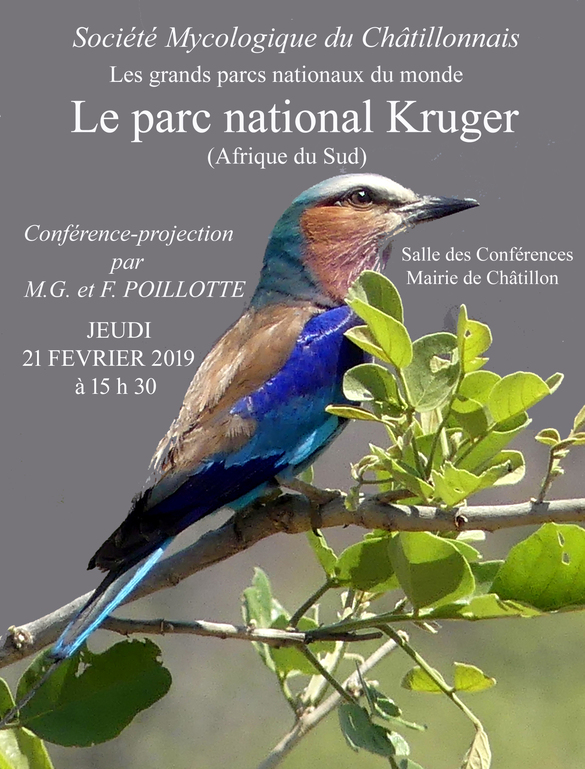 François et Marie-Geneviève Poillotte vont bientôt présenter une conférence sur le "parc national  Kruger"