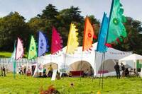 books flags festival flags