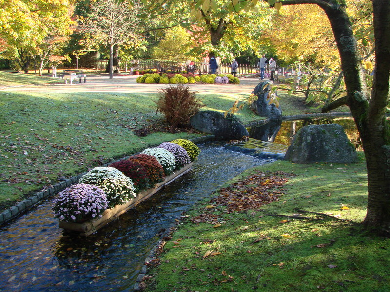 Limbourg : le jardin japonais d'Hasselt