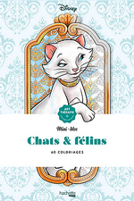 Collection Hachette-Heroes Disney 