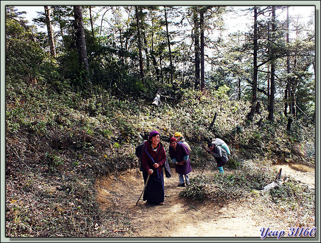 Blog de images-du-pays-des-ours : Images du Pays des Ours (et d'ailleurs ...), La montée au Trashigang Goemba (3400 m d'altitude) est dure quand on est chargé! - Bhoutan
