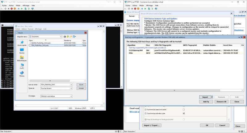 Configurer un serveur SFTP en failover sur Windows Serveur Core 2022